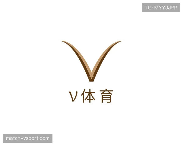 解读V体育